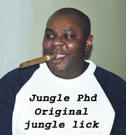 Jungle PhD